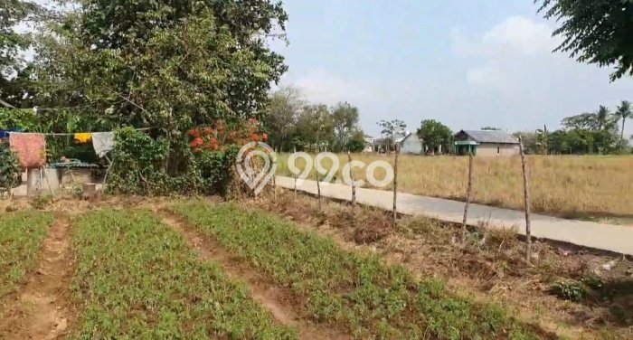Tanah Komersial Dijual di Babelan Bekasi 2478m2 Tanah Komersial Dijual di Babelan Bekasi 2478m2