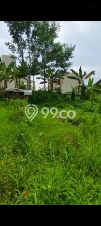 Tanah Siap Bangun Dijual di Cianjur Punya Luas 440m2 Tanah Siap Bangun Dijual di Cianjur Punya Luas 440m2