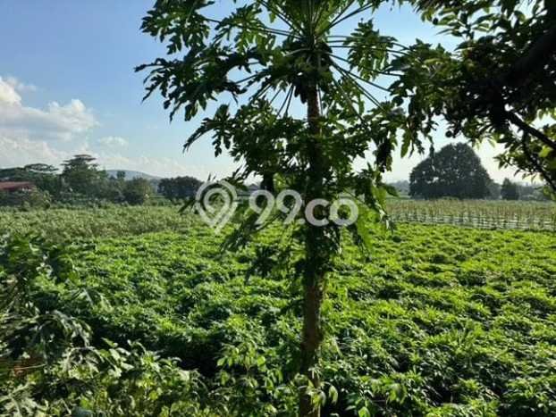 Lahan Kosong Dijual di Kemang, Bogor, Luas 22000m2 Area Strategis Lahan Kosong Dijual di Kemang, Bogor, Luas 22000m2 Area Strategis