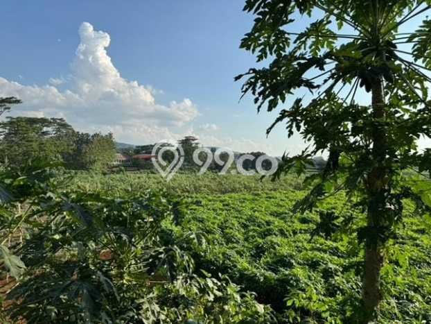 Lahan Kosong Dijual di Kemang, Bogor, Luas 22000m2 Area Strategis Lahan Kosong Dijual di Kemang, Bogor, Luas 22000m2 Area Strategis