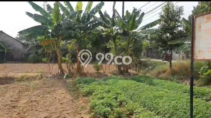 Tanah Komersial Dijual di Babelan Bekasi 2478m2 Tanah Komersial Dijual di Babelan Bekasi 2478m2
