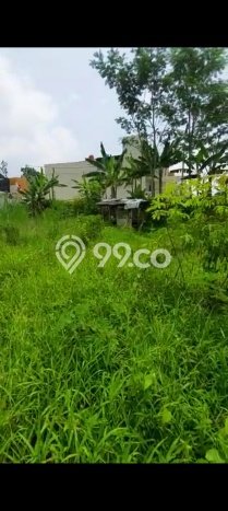 Tanah Siap Bangun Dijual di Cianjur Punya Luas 440m2 Tanah Siap Bangun Dijual di Cianjur Punya Luas 440m2