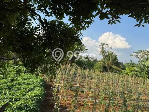 Lahan Kosong Dijual di Kemang, Bogor, Luas 22000m2 Area Strategis Lahan Kosong Dijual di Kemang, Bogor, Luas 22000m2 Area Strategis