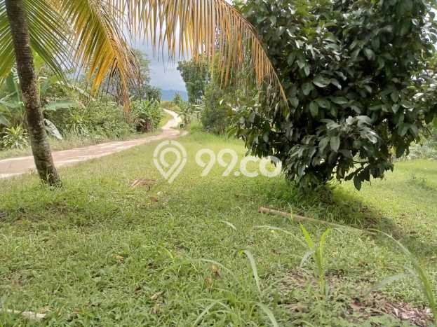 Tanah Siap Bangun Dijual di Bogor Punya Luas 1e+06m2 Tanah Siap Bangun Dijual di Bogor Punya Luas 1e+06m2