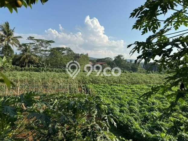 Lahan Kosong Dijual di Kemang, Bogor, Luas 22000m2 Area Strategis Lahan Kosong Dijual di Kemang, Bogor, Luas 22000m2 Area Strategis