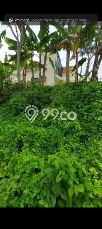 Tanah Siap Bangun Dijual di Cianjur Punya Luas 440m2 Tanah Siap Bangun Dijual di Cianjur Punya Luas 440m2