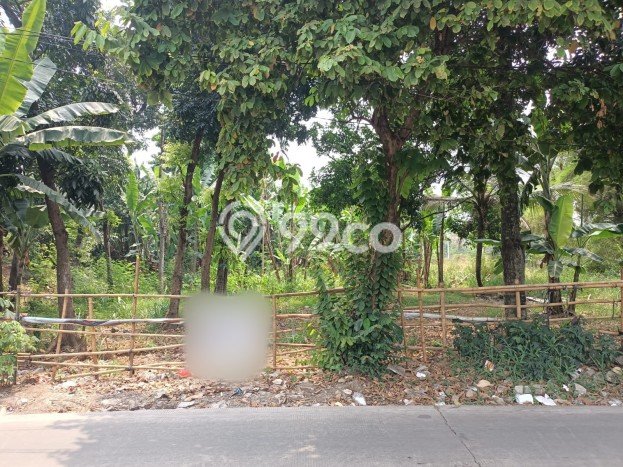 Tanah Dijual Lokasi Ciputat, Tangerang Selatan dengan Luas Tanah 1290m2 dan Status SHM Tanah Dijual Lokasi Ciputat, Tangerang Selatan dengan Luas Tanah 1290m2 dan Status SHM