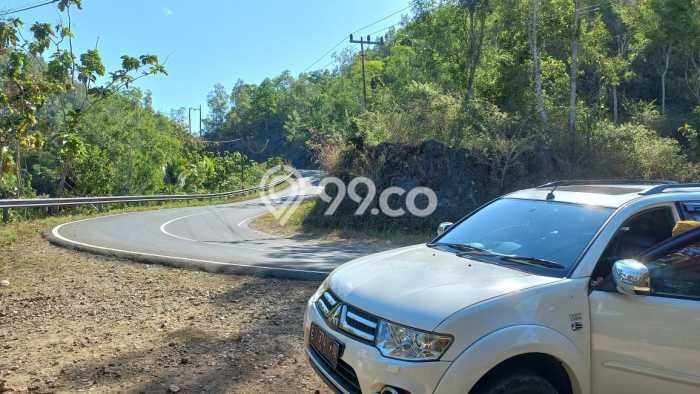 Lahan Investasi Lokasi Punung Pacitan SHM Lahan Investasi Lokasi Punung Pacitan SHM