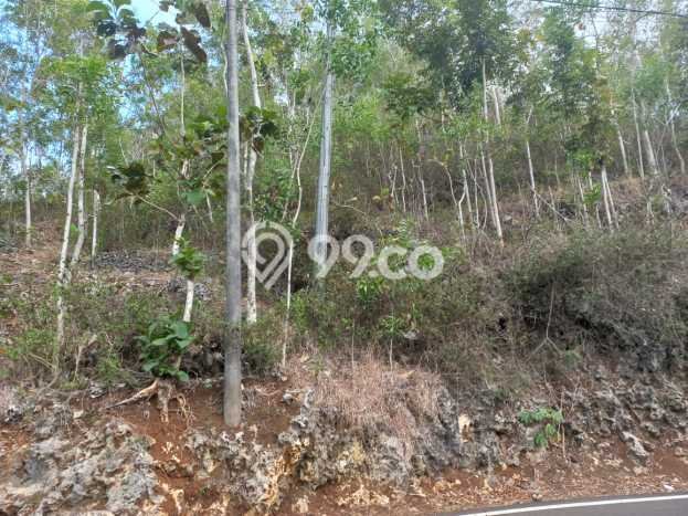 Tanah Kosong Dijual di Pacitan dengan Area 735m2 Tanah Kosong Dijual di Pacitan dengan Area 735m2