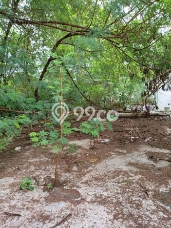 Tanah Dijual di Jakarta Barat Seluas 660m2 Strategis Tanah Dijual di Jakarta Barat Seluas 660m2 Strategis