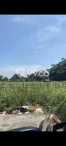 Disewakan Tanah di Cileungsi Luas 4500m2 SHM Disewakan Tanah di Cileungsi Luas 4500m2 SHM