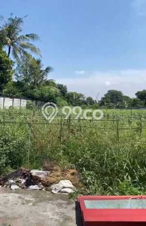 Disewakan Tanah di Cileungsi Luas 4500m2 SHM Disewakan Tanah di Cileungsi Luas 4500m2 SHM