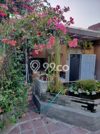 Rumah Cantik Siap Pakai Di Solo Baru Luas 175m2 Lokasi Strategis Rumah Cantik Siap Pakai Di Solo Baru Luas 175m2 Lokasi Strategis