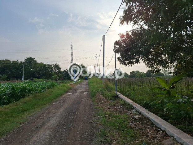 Tanah Strategis Dijual di Menganti Gresik 1080m2 Tanah Strategis Dijual di Menganti Gresik 1080m2