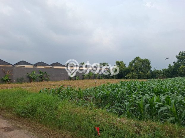 Tanah Strategis Dijual di Menganti Gresik 1080m2 Tanah Strategis Dijual di Menganti Gresik 1080m2