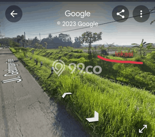 Tanah Kavling di Minggir Sleman Disewakan dengan Luas 520m2 Tanah Kavling di Minggir Sleman Disewakan dengan Luas 520m2