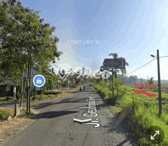 Tanah Kavling di Minggir Sleman Disewakan dengan Luas 520m2 Tanah Kavling di Minggir Sleman Disewakan dengan Luas 520m2