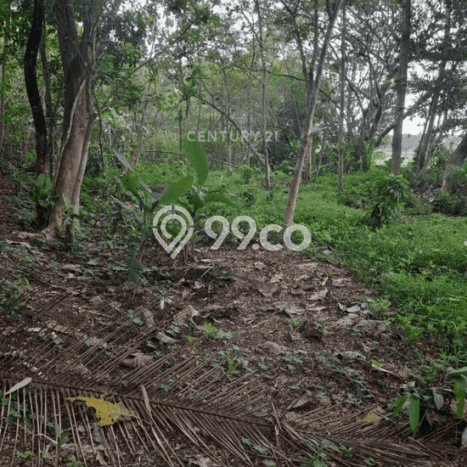 Tanah Komersial Kawasan Kasihan, Luas 740m², Akses Mudah Tanah Komersial Kawasan Kasihan, Luas 740m², Akses Mudah