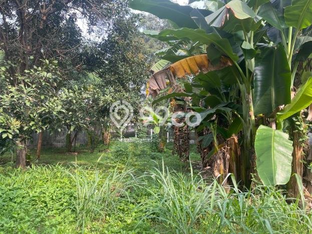 Tanah Dijual Lokasi Pesanggrahan, Jakarta Selatan Luas 953m2 Legalitas Aman Tanah Dijual Lokasi Pesanggrahan, Jakarta Selatan Luas 953m2 Legalitas Aman