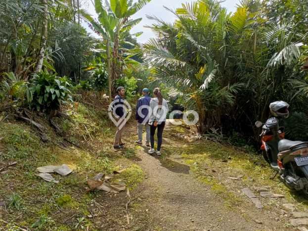 Tanah Kavling di Serangpanjang Dijual dengan Luas 30000m2 Tanah Kavling di Serangpanjang Dijual dengan Luas 30000m2