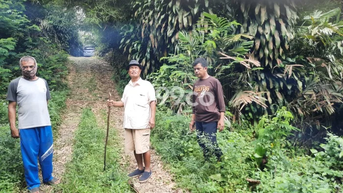 Tanah di Sagalaherang, Subang Luas 85000m2 Dijual Segera Tanah di Sagalaherang, Subang Luas 85000m2 Dijual Segera