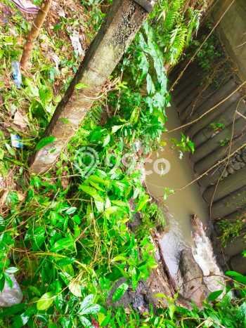 Kavling Tanah untuk Dijual di Munggu, Badung, Luas 200m2 Kavling Tanah untuk Dijual di Munggu, Badung, Luas 200m2