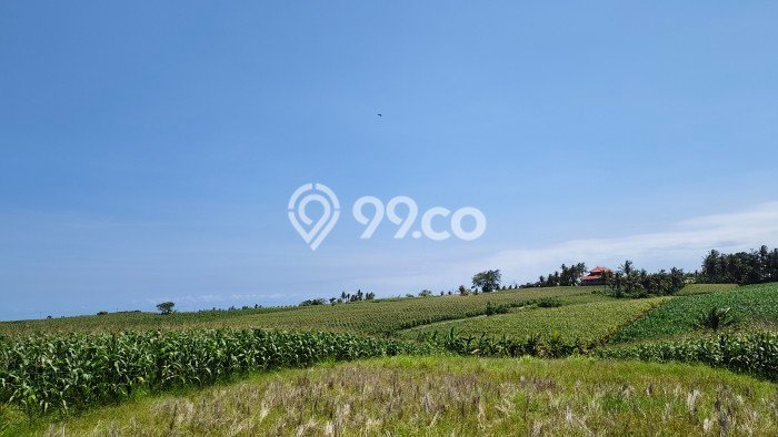 Tanah Lokasi Strategis di Klecung, Luas 5700m², Dekat ke Pusat Kota Tanah Lokasi Strategis di Klecung, Luas 5700m², Dekat ke Pusat Kota