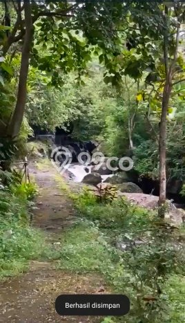 Tanah Lokasi Potensial di Ubud, Luas 4440m2m², Akses ke Fasilitas Tanah Lokasi Potensial di Ubud, Luas 4440m2m², Akses ke Fasilitas
