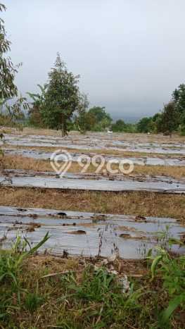HOT DEAL! Tanah Kawasan Pelaga, Luas 4700m2m², Area Premium HOT DEAL! Tanah Kawasan Pelaga, Luas 4700m2m², Area Premium