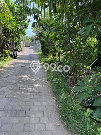 Tanah Dijual di Badung Seluas 1000m2 Strategis Tanah Dijual di Badung Seluas 1000m2 Strategis