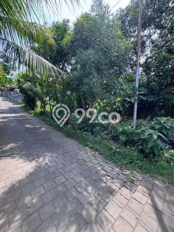 Tanah Dijual di Badung Seluas 1000m2 Strategis Tanah Dijual di Badung Seluas 1000m2 Strategis