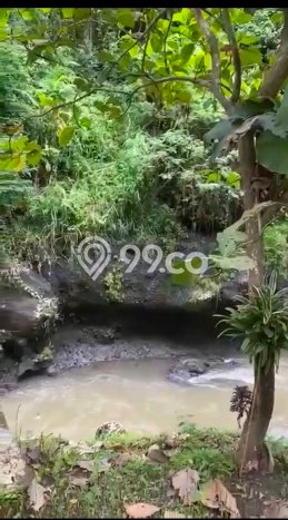 Tanah Lokasi Potensial di Ubud, Luas 4440m2m², Akses ke Fasilitas Tanah Lokasi Potensial di Ubud, Luas 4440m2m², Akses ke Fasilitas