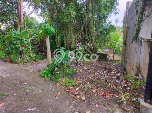Kavling Tanah untuk Dijual di Munggu, Badung, Luas 200m2 Kavling Tanah untuk Dijual di Munggu, Badung, Luas 200m2