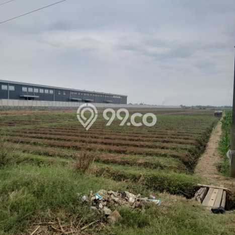 Kavling Tanah untuk Dijual di Cirebon Timur, Cirebon, Luas 32000m2 Kavling Tanah untuk Dijual di Cirebon Timur, Cirebon, Luas 32000m2
