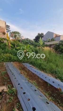 Kavling Tanah di Ngaliyan Dijual Luas 910m2 Legalitas SHM Kavling Tanah di Ngaliyan Dijual Luas 910m2 Legalitas SHM