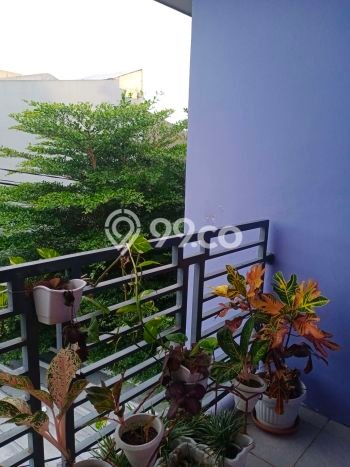 Dijual Rumah 3 Kamar Lokasi Ideal Bagus dan Strategis di Pamulang Dijual Rumah 3 Kamar Lokasi Ideal Bagus dan Strategis di Pamulang