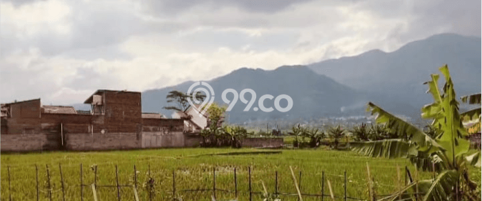 Untuk Dijual Tanah di Tarogong Kaler Garut Luas 3885m2 SHM Untuk Dijual Tanah di Tarogong Kaler Garut Luas 3885m2 SHM