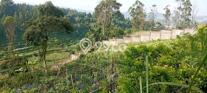 Vila Berkembang Kawasan , Area 15000m2m², Akses mudah Bandung, Bandung Vila Berkembang Kawasan , Area 15000m2m², Akses mudah Bandung, Bandung