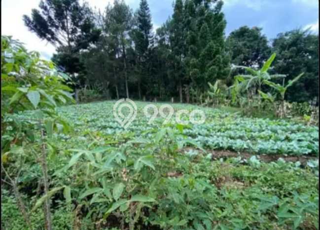 Tanah Kavling Dijual di Lembang, Bandung dengan Luas Tanah 1028m2 Tanah Kavling Dijual di Lembang, Bandung dengan Luas Tanah 1028m2