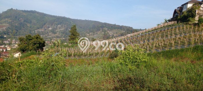 Tanah Kavling Dijual di Bandung dengan Spesifikasi 4980m2 Tanah Kavling Dijual di Bandung dengan Spesifikasi 4980m2