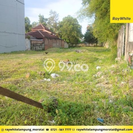Tanah untuk Dijual Lokasi Natar, Lampung Selatan Luas 1460m2 SHM Tanah untuk Dijual Lokasi Natar, Lampung Selatan Luas 1460m2 SHM