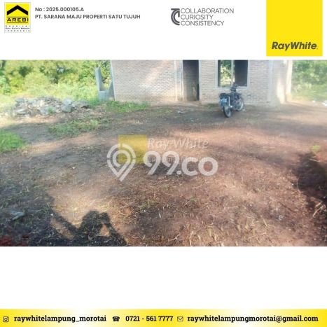 Tanah Kavling untuk Dijual di Pringsewu Pringsewu 1866m2 Tanah Kavling untuk Dijual di Pringsewu Pringsewu 1866m2