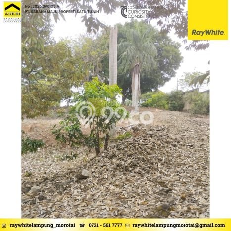 Tanah Dijual Lokasi Teluk Betung Utara, Bandar Lampung dengan Luas Tanah 4167m2 dan Status SHM Tanah Dijual Lokasi Teluk Betung Utara, Bandar Lampung dengan Luas Tanah 4167m2 dan Status SHM