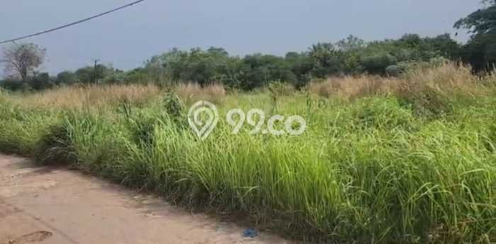 Kavling Tanah di Cipocok Jaya Dijual Luas 18684m2 Legalitas SHM Kavling Tanah di Cipocok Jaya Dijual Luas 18684m2 Legalitas SHM