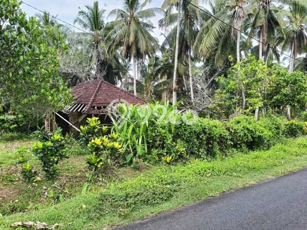 Tanah Kavling untuk Dijual di Selemadeg Tabanan 5730m2 Tanah Kavling untuk Dijual di Selemadeg Tabanan 5730m2