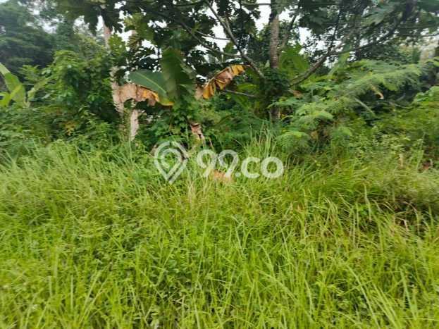 HARGA MENARIK! Tanah Kawasan , Luas 1383m2m², Lingkungan Nyaman HARGA MENARIK! Tanah Kawasan , Luas 1383m2m², Lingkungan Nyaman