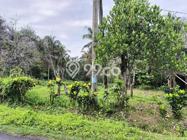 Tanah Kavling untuk Dijual di Selemadeg Tabanan 5730m2 Tanah Kavling untuk Dijual di Selemadeg Tabanan 5730m2