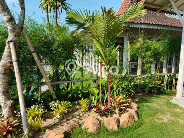 SEWA TERBAIK! Vila di , Area 0m2m², Akses ke Fasilitas Umum SEWA TERBAIK! Vila di , Area 0m2m², Akses ke Fasilitas Umum