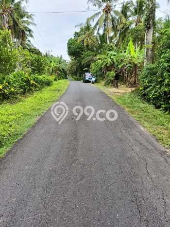 Tanah Kavling untuk Dijual di Selemadeg Tabanan 5730m2 Tanah Kavling untuk Dijual di Selemadeg Tabanan 5730m2