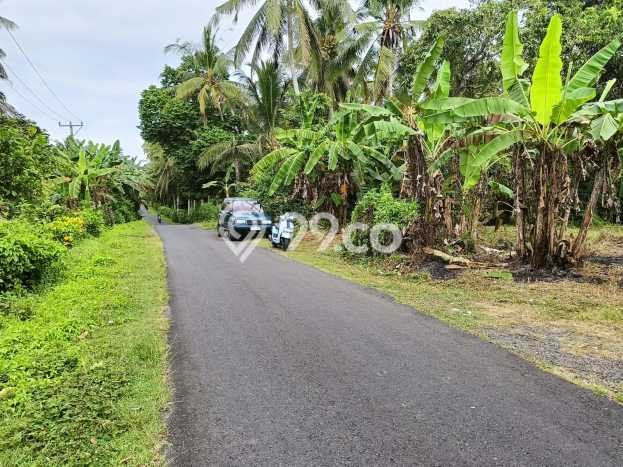 Tanah Kavling untuk Dijual di Selemadeg Tabanan 5730m2 Tanah Kavling untuk Dijual di Selemadeg Tabanan 5730m2